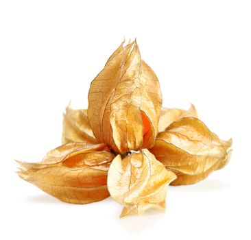 Ripe physalis in the form of flower  isolated on white background