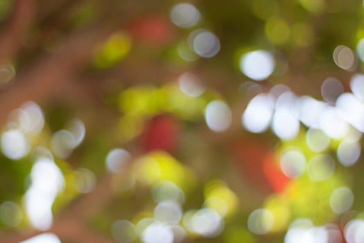 Bokeh light background pink and green colored
