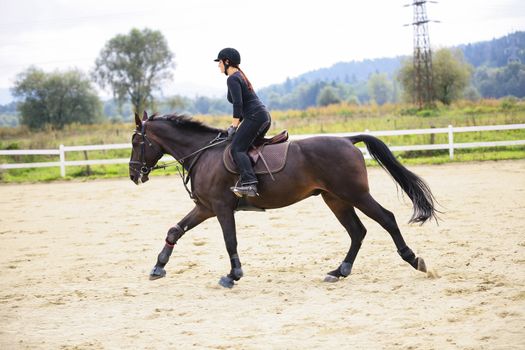 Woman Riding On Horse In Paddock