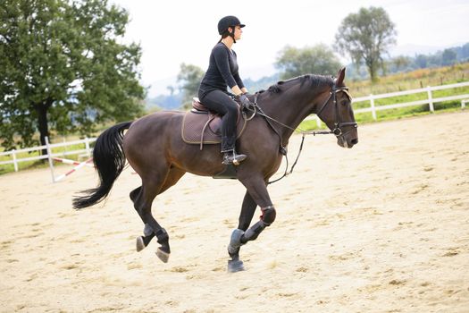 Woman Riding On Horse In Paddock