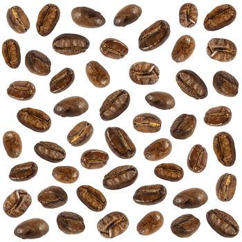 Collection of fresh roasted coffee beans ( close up ) ( isolate background )