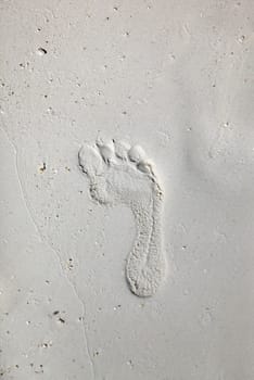 Footprints on a coral beach nearby stone town. Zanzibar, Tanzania 