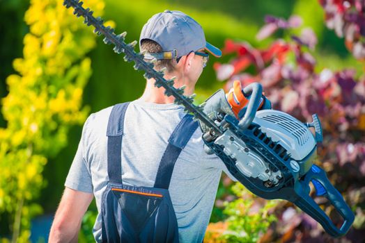 Professional Gardener with Large Gasoline Hedge Trimmer Going to Work. Summer Garden Care.
