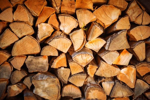 Firewood Bundle. Pile of Firewood Photo Backdrop.