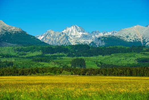 Tatra Mountains. Slovakia Side Tatra Mountains Summer Scenery. Scenic Carpathian Mountains. Slovakia, Europe.