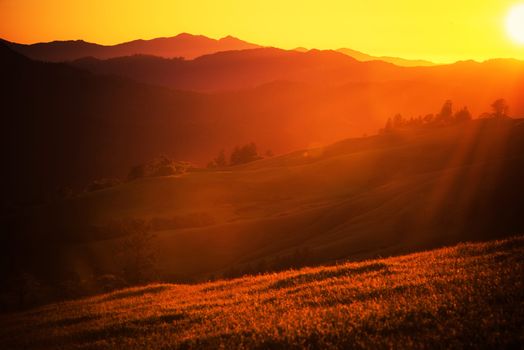 Summer Sunset Landscape. Northern California Scenic View.