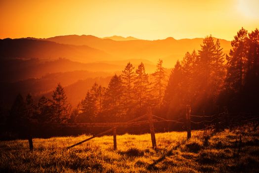 California Hills Sunset. Beautiful Scenic Sunset in Northern California Redwood Hills.