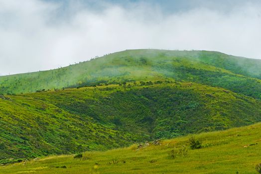 Foggy Coastal California Countryside Hills. Northern California, United States. 