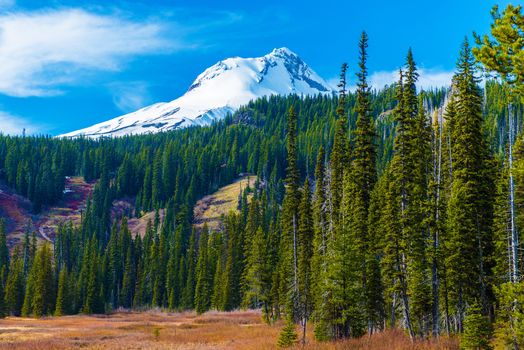 Snowy Peak of Mount Hood in the Cascade Volcanic Arc of Northern Oregon, United States. Oregon Landscape.