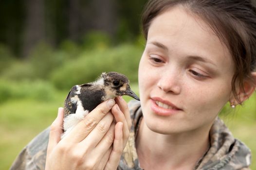 the girl holds in hand a bird a lapwing