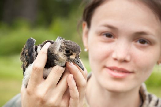 the girl holds in hand a bird a lapwing