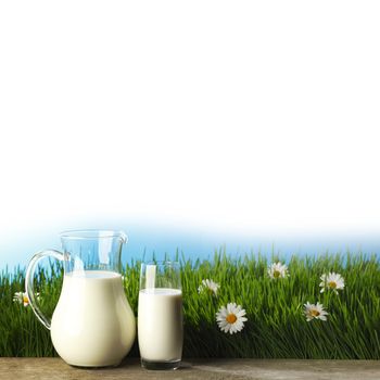 Glass of milk and jar on fresh grass meadow with chamomiles