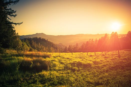 Summer in Northern California. Eureka, California Countryside. Nature Landscape.