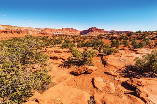 Capitol Reef Rocky Landscape. Red Navajo Sandstones Landscape. Utah, United States.