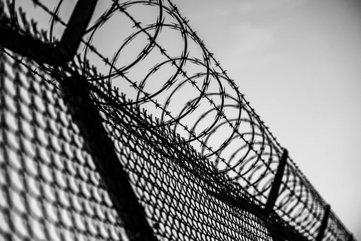 Prison Fence in Black and White. Barbed Wire Fence Closeup.