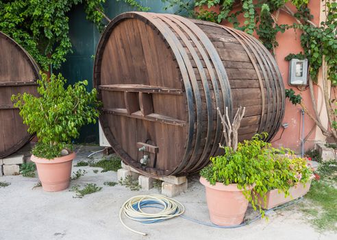 Big wooden wine barrel in a garden