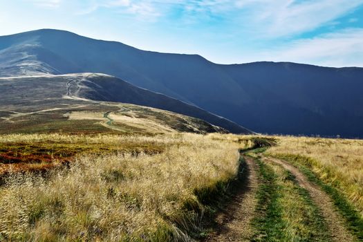 Mountain autumn landscape with a road that starts in the foreground and ends at the top of the mountain. A yellow grass. Blue Ridge. Sunshine. Carpathian Ukraine