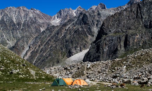 Wild camping in Caucasian mountains. Tents. Caucasian wild goats. Russia