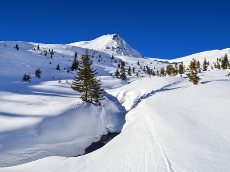 View of the snow-covered mountain. Trees. Frozen river. Clear sky. Winter. Ukraine