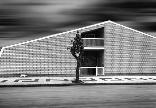 Black and white cityscape. Cat walking on the sidewalk near the brick house. The sky and the road blurred in motion. Direct geometric lines.