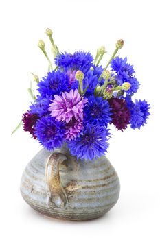 bouquet of cornflowers on white background