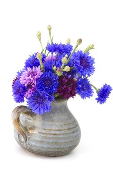 bouquet of cornflowers on white background