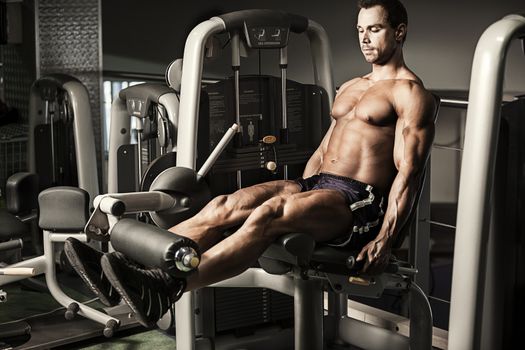 Portrait of male bodybuilder doing exercise at gym