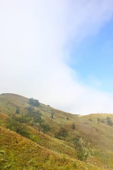 Landscape on mountain with grass and cloud