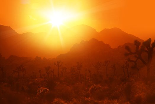 California Desert Heat. Hot Summer Day in Joshua National Park, California, United States.