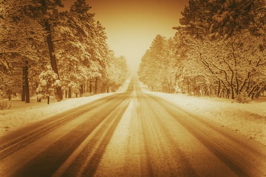 Scenic Winer Road in Sepia. Winter Driving Conditions. Forest Road.