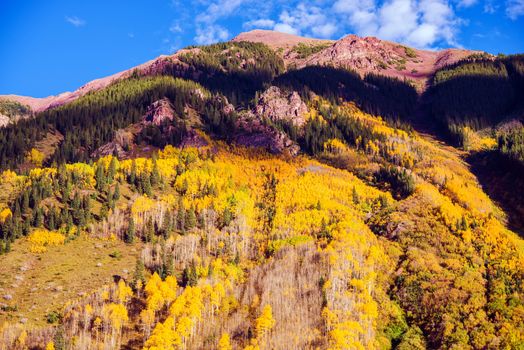 Scenic Autumn Mountain. Colorado Fall Nature Landscape.