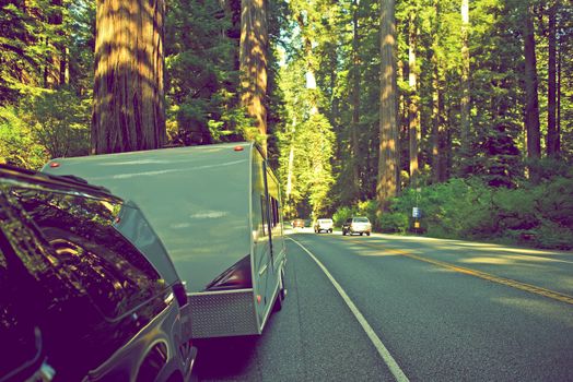 RV in Redwood Forest. RV Trip in Northern California. Travel Trailer Pulled by SUV on the Side of the Redwood Road. United States.