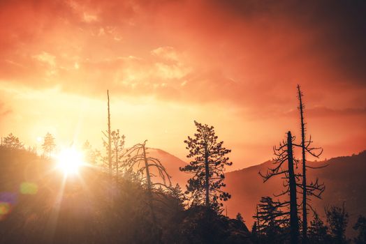 Scenic California Sunset in San Bernardino Mountains. California Landscape.