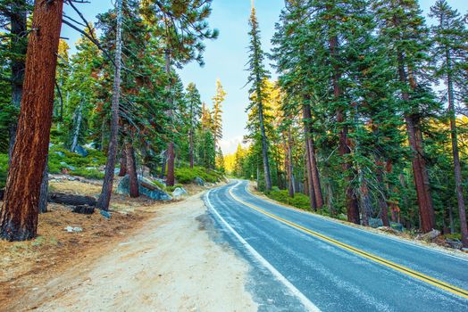 Highway Through Sierra Nevada Mountains in California, United States.