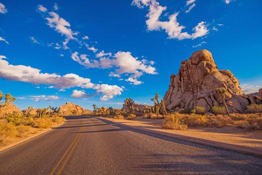 Joshua Tree National Park Interior Scenic Park Road. California, USA.