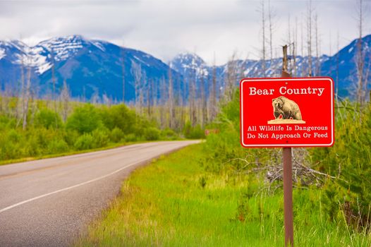 Bear Country Warning Sign. All Wildlife is Dangerous. Do Not Approach or Feed Red Countryside Sign. Montana, United States.