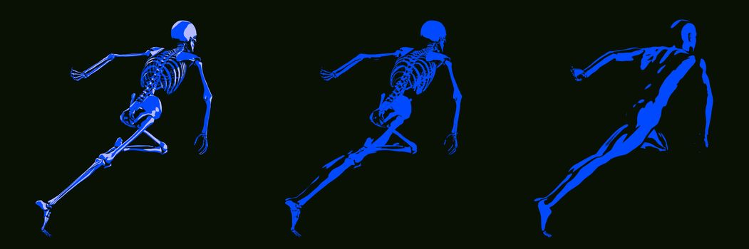 Human Body and Skeleton Anatomy Xray Concept