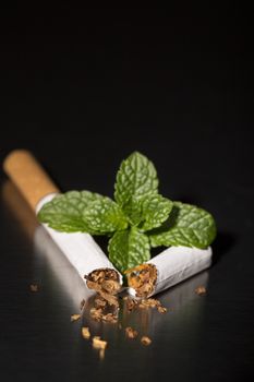 Broken cigarette with fresh mint, on black background