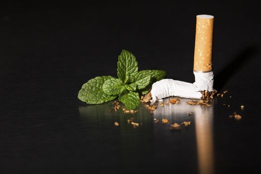 Broken cigarette with fresh mint, on black background