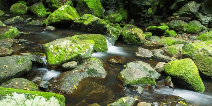 Waterfall in Lamington National Park in Queensland, Australia.