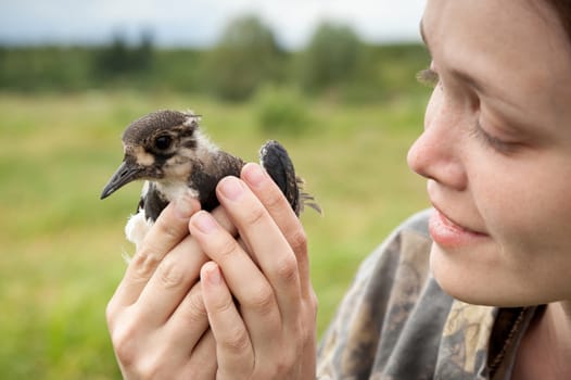 the girl holds in hand a bird a lapwing