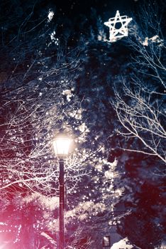 Holidays Season Scenery with Christmas Tree, Park Lantern and Falling Snow. Christmas Background