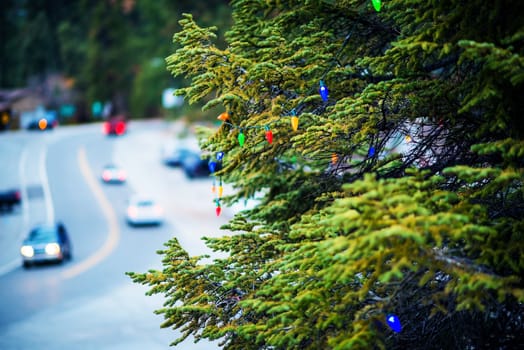 Idyllwild-Pine Cove Holidays Theme. Christmas Tree and City Street. Idyllwild-Pine Cove, California, United States.