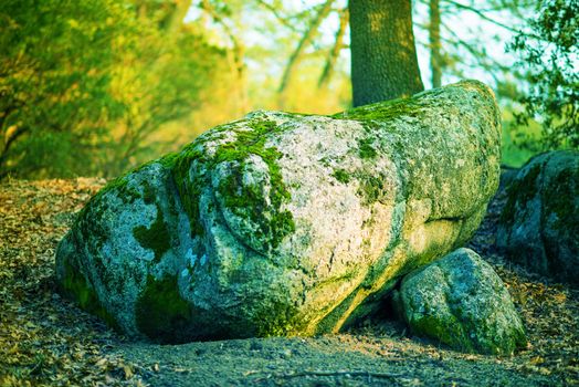 Magic Mossy Boulder in the Forest. Flora and Geology