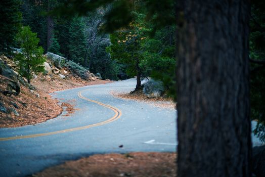 San Bernardino Mountain Road near Idyllwild, Pine Cove, California, USA.