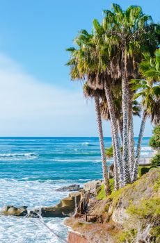 South California Pacific Coast - San Diego Coast with Palm Trees.