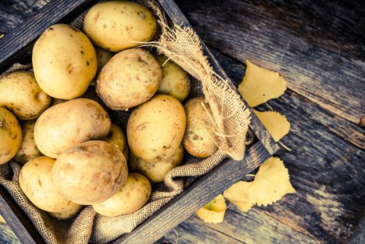 Raw Organic Golden Potatoes in the Wooden Crate on Aged Wood Planks Table.