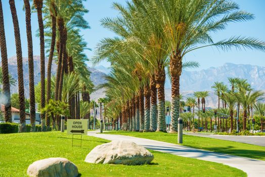 Indian Wells City Streets, California, United States. Palms Row.