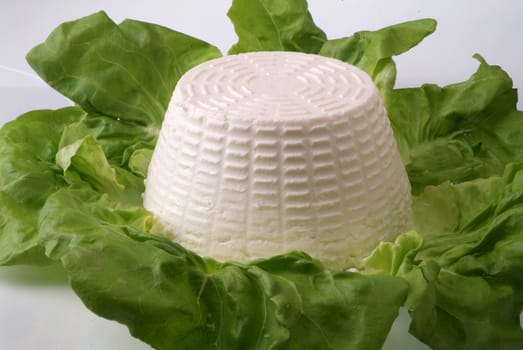 fresh cottage cheese on bed of salad