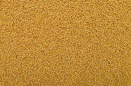 yellow mustard seeds texture food ingredient background